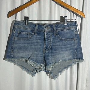 NEW Hollister Short Shorts Size 1